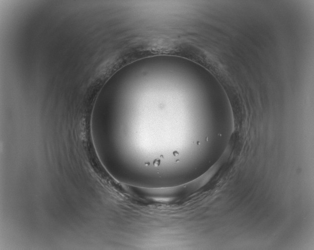 X0000066940689200603241142