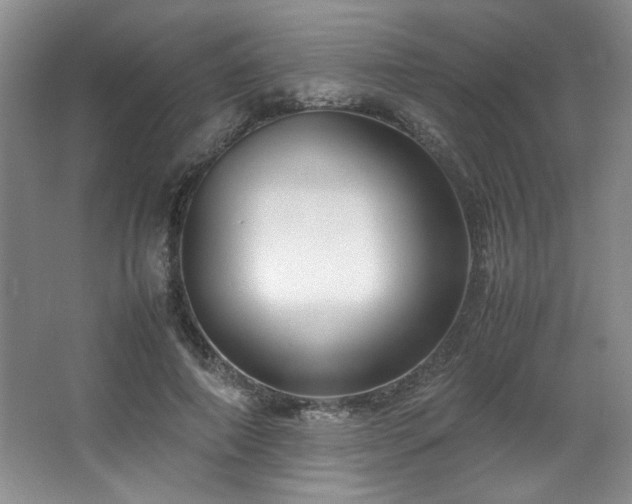 X0000066940690200603241142