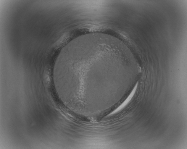 X0000066940691200603241142