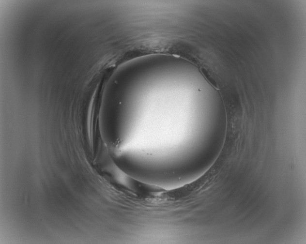 X0000066940693200603241142