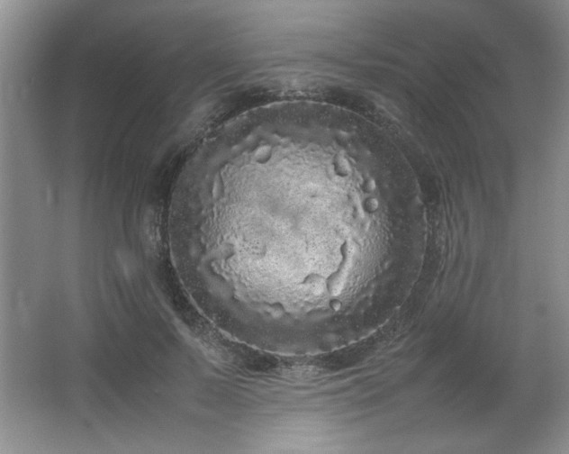 X0000066940695200603241142