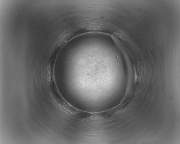 X0000066940696200603241142