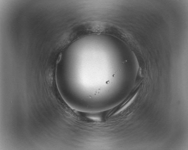 X0000066940697200603241142