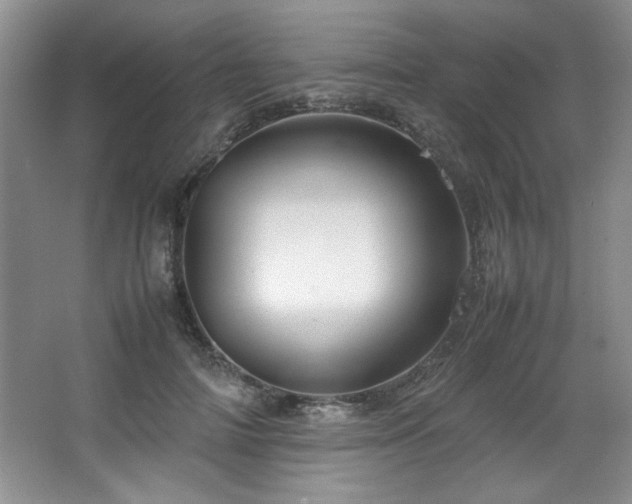 X0000066940698200603241142