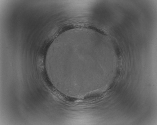 X0000066940699200603241142