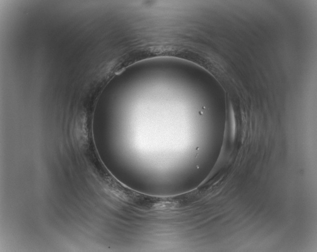 X0000066940700200603241142