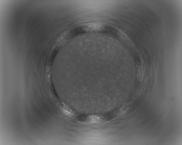 X0000066940701200603241142