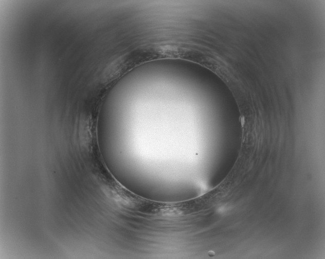 X0000066940702200603241142