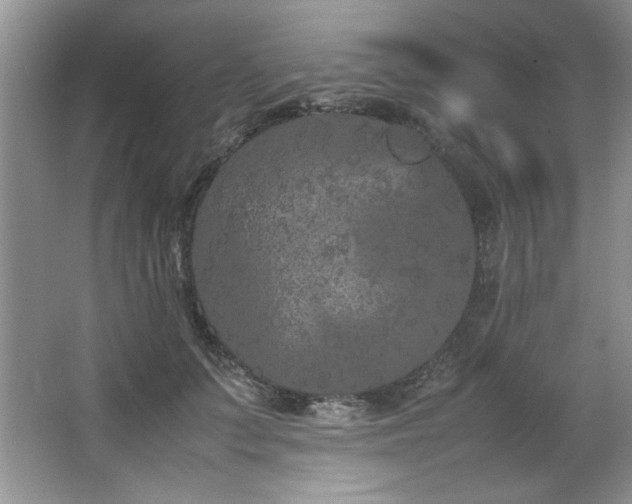 X0000066940703200603241142