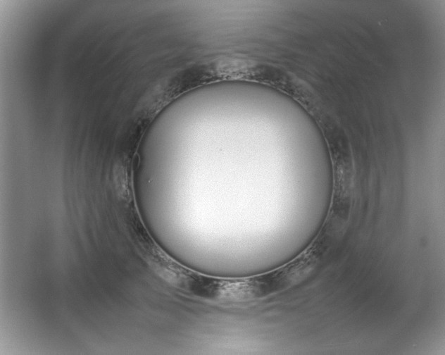 X0000066940705200603241142