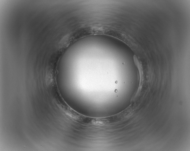 X0000066940706200603241142