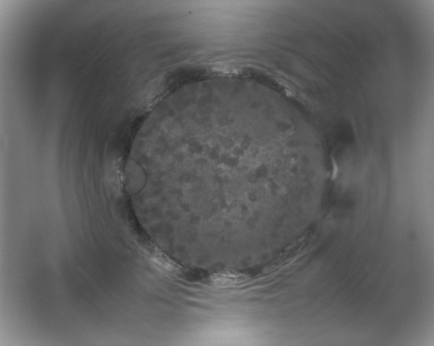 X0000066940707200603241142