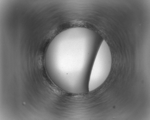 X0000066940708200603241142