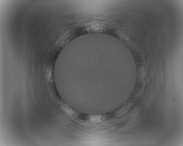 X0000066940709200603241142