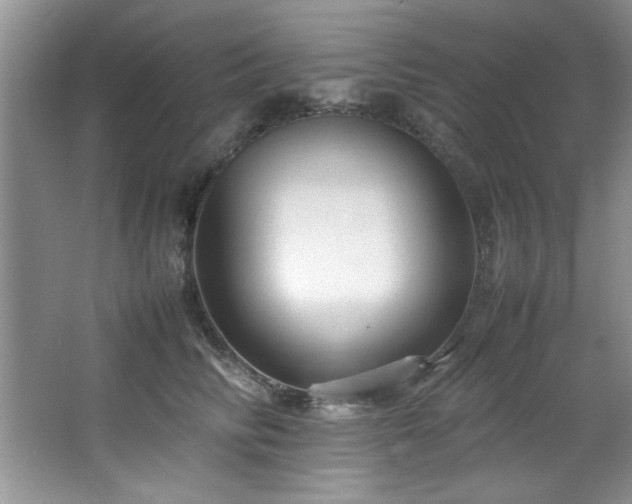 X0000066940710200603241142