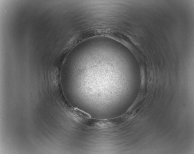 X0000066940712200603241142