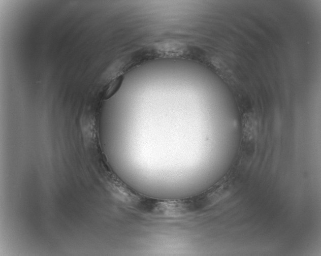 X0000066940713200603241142