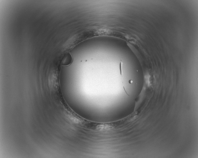 X0000066940714200603241142