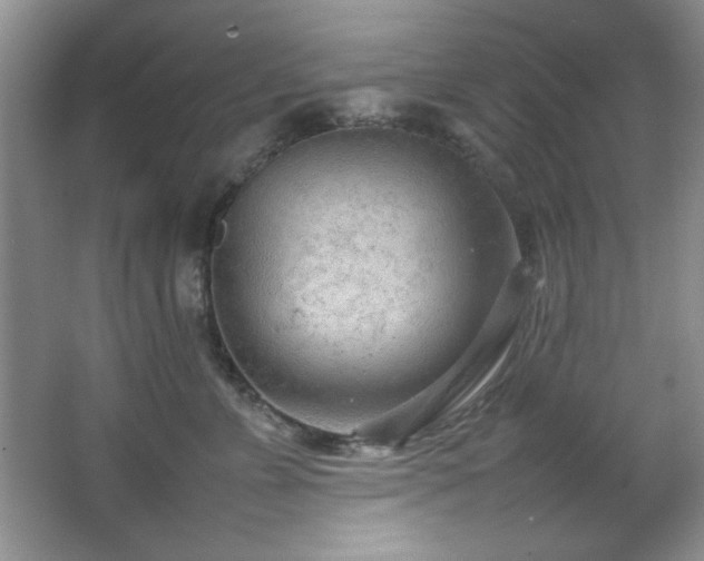 X0000066940715200603241142