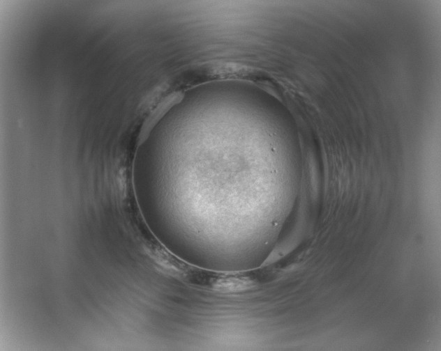 X0000066940716200603241142