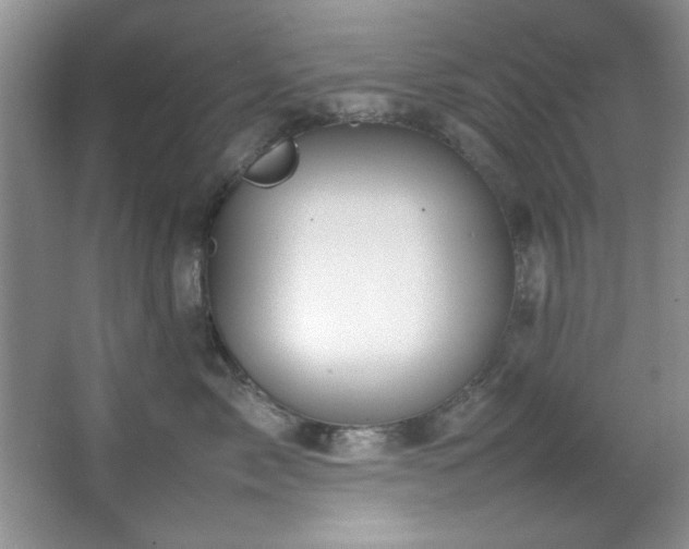 X0000066940717200603241142