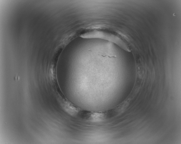 X0000066940718200603241142