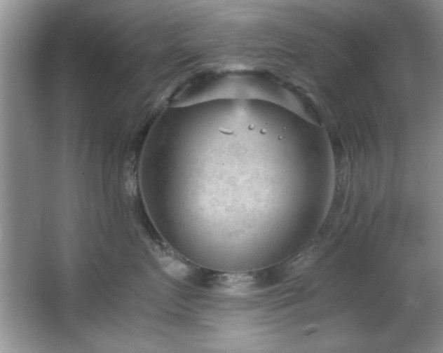 X0000066940719200603241142