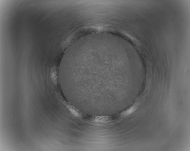 X0000066940720200603241142