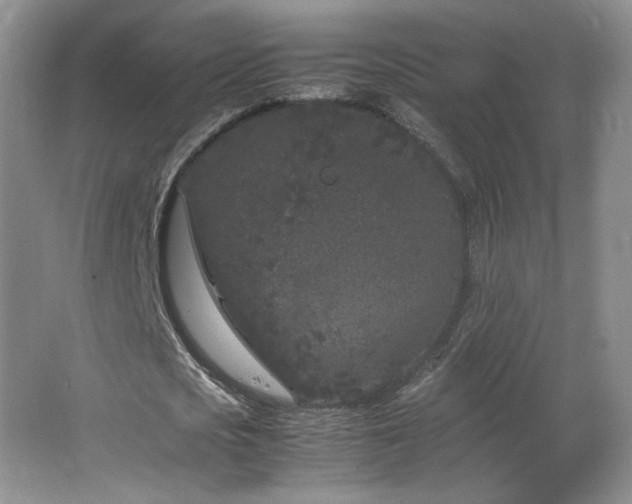 X0000066940721200603241141