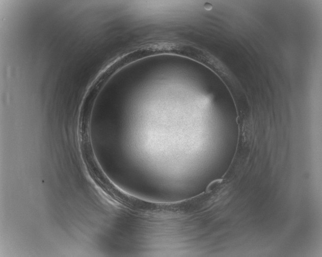 X0000066940722200603241141