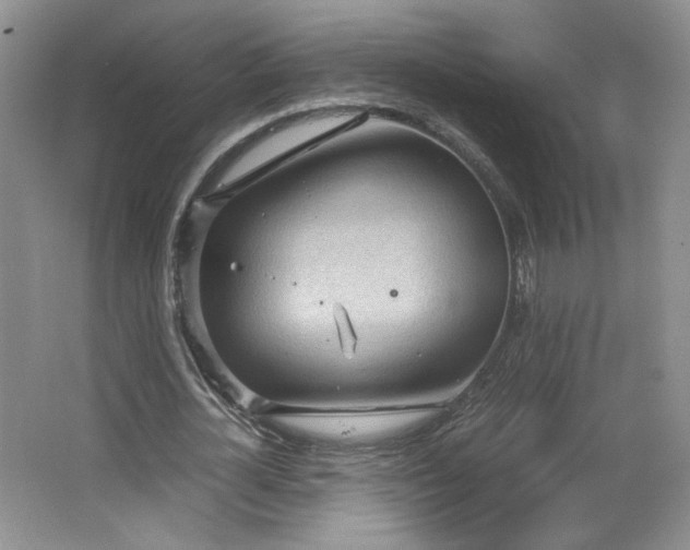 X0000066940724200603241141