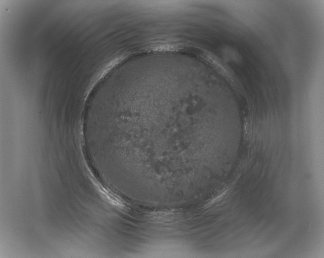 X0000066940725200603241141