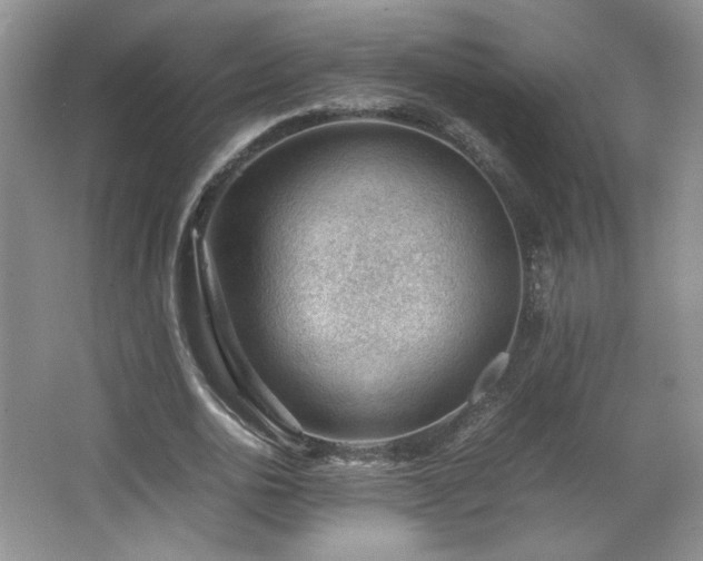 X0000066940726200603241141