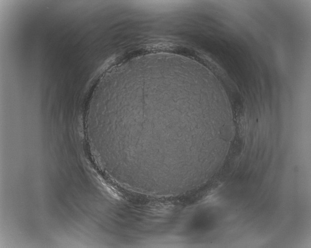 X0000066940729200603241141