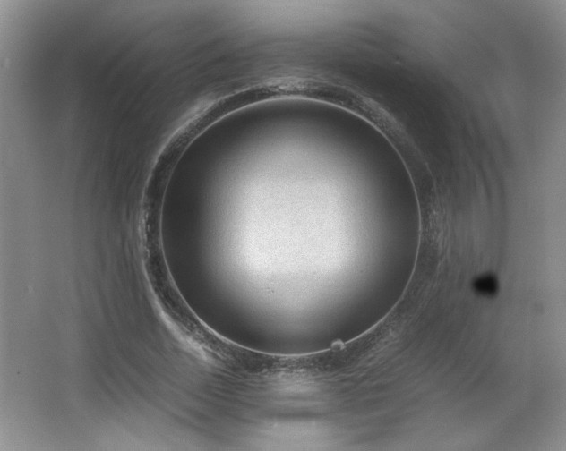 X0000066940730200603241141