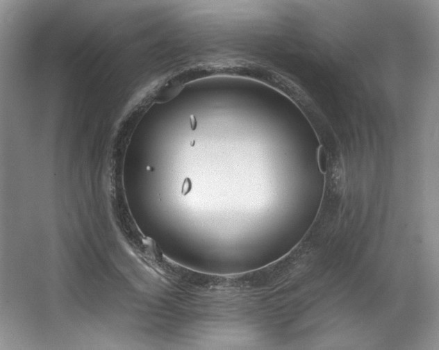 X0000066940732200603241141