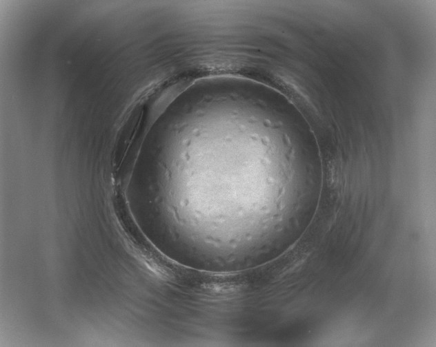 X0000066940733200603241141