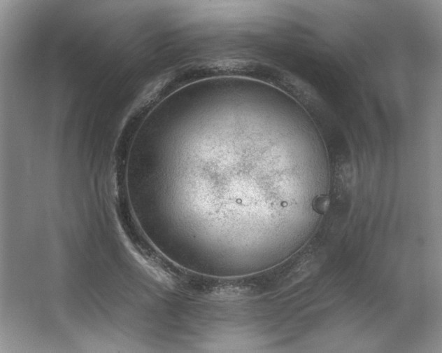 X0000066940734200603241141