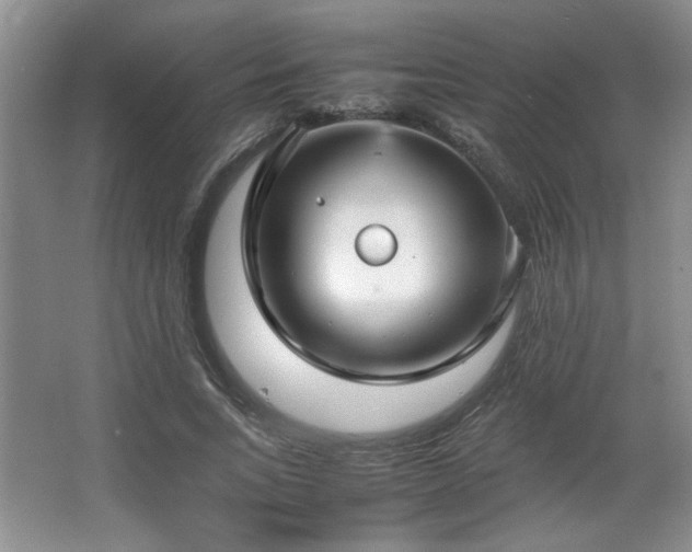 X0000066940735200603241141