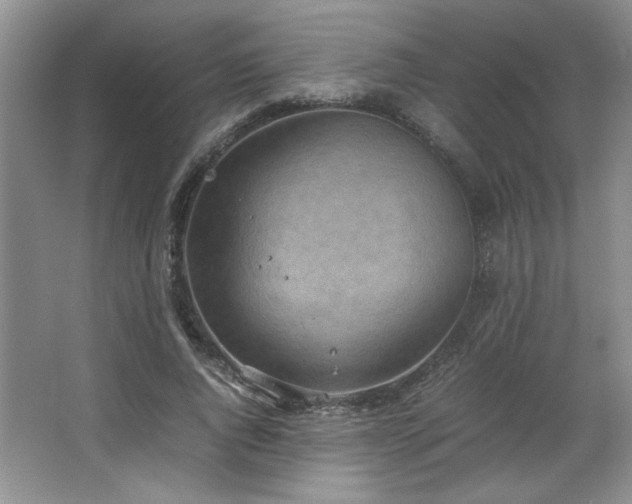 X0000066940736200603241141