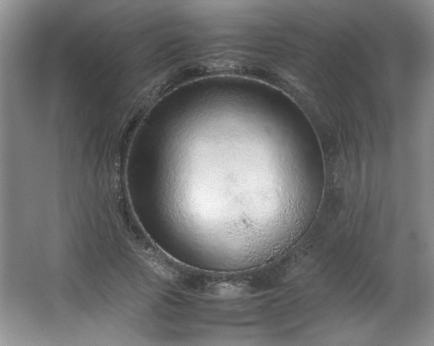 X0000066940737200603241141