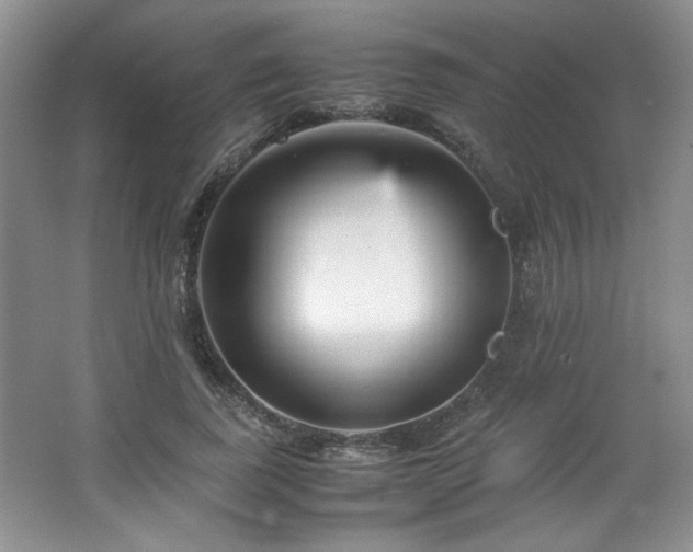 X0000066940739200603241141