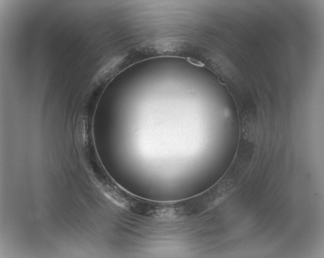 X0000066940740200603241141