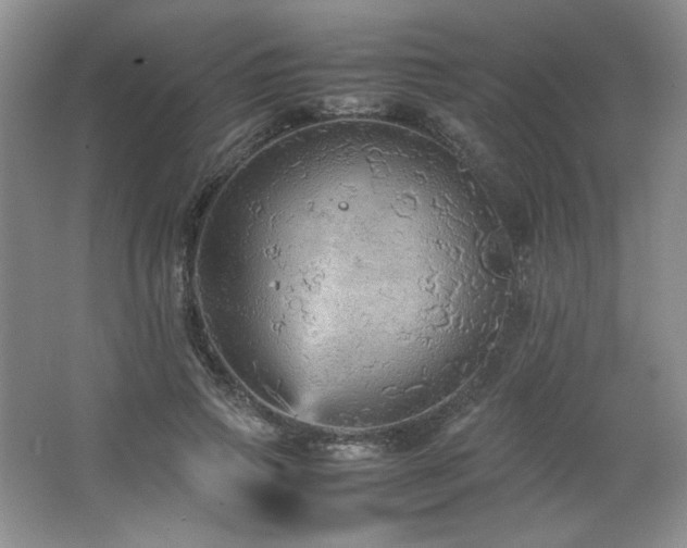 X0000066940741200603241141