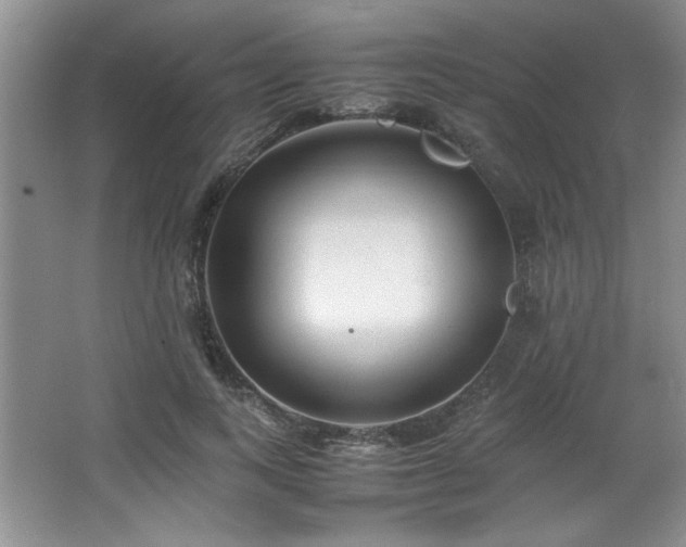 X0000066940743200603241141