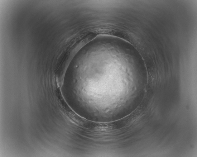 X0000066940745200603241141