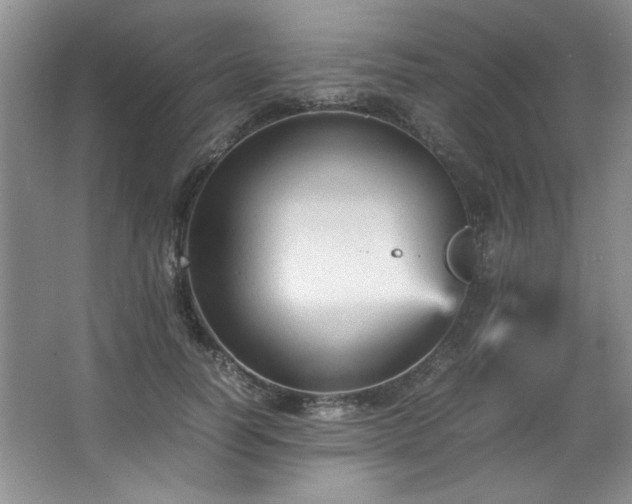 X0000066940746200603241141