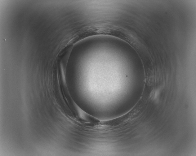 X0000066940748200603241141