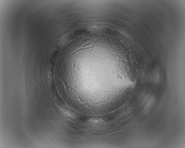 X0000066940749200603241141