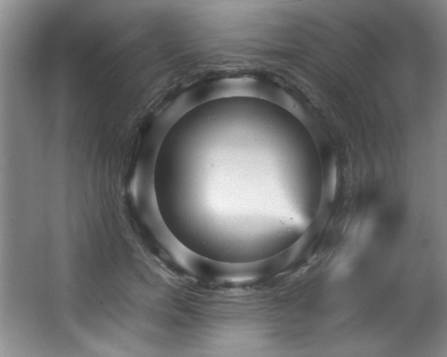 X0000066940750200603241142